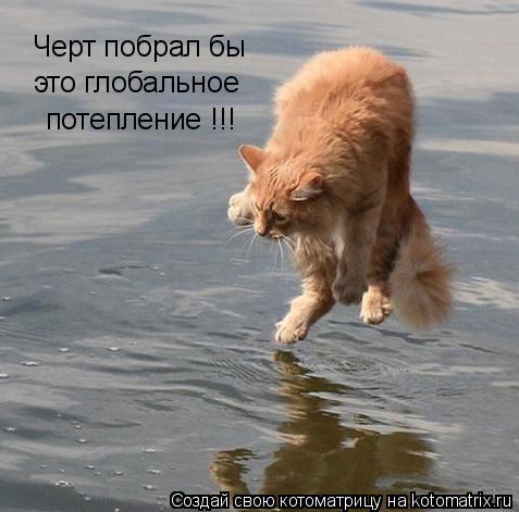 Черт побрал бы это глобальное потепление !!!... Котоматрица: Черт побрал бы это глобальное потепление !!!
