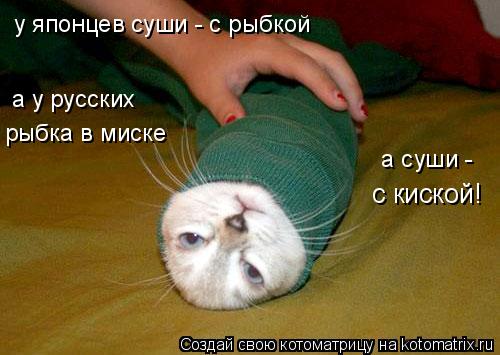 у японцев суши - с рыбкой а у русских рыбка в миске а суши - с киской!... Котоматрица: у японцев суши - с рыбкой а у русских рыбка в миске а суши - с киской!