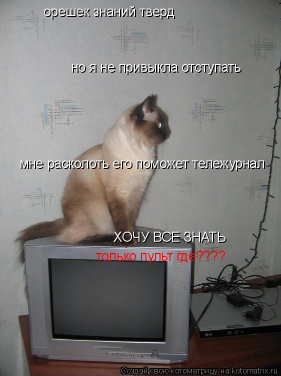 орешек знаний тверд но я не привыкла отступать мне расколоть его поможет тележурнал ХОЧУ ВСЕ ЗНАТЬ т... Котоматрица: орешек знаний тверд но я не привыкла отступать мне расколоть его поможет тележурнал ХОЧУ ВСЕ ЗНАТЬ только пульт где????