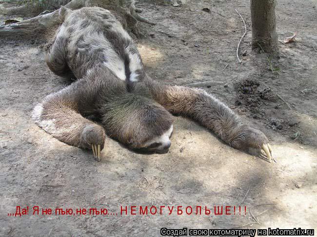 ,,,Да! Я не пъю,не пъю.... Н Е М О Г У Б О Л Ь Ш Е ! ! !... Котоматрица: ,,,Да! Я не пъю,не пъю.... Н Е М О Г У Б О Л Ь Ш Е ! ! !