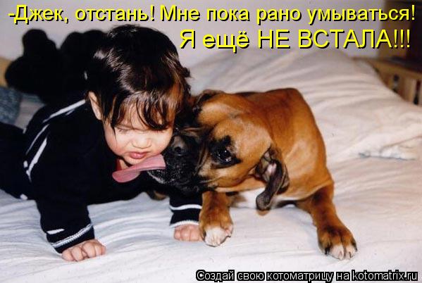 Котоматрица: Я ещё НЕ ВСТАЛА!!! -Джек, отстань! Мне пока рано умываться!
