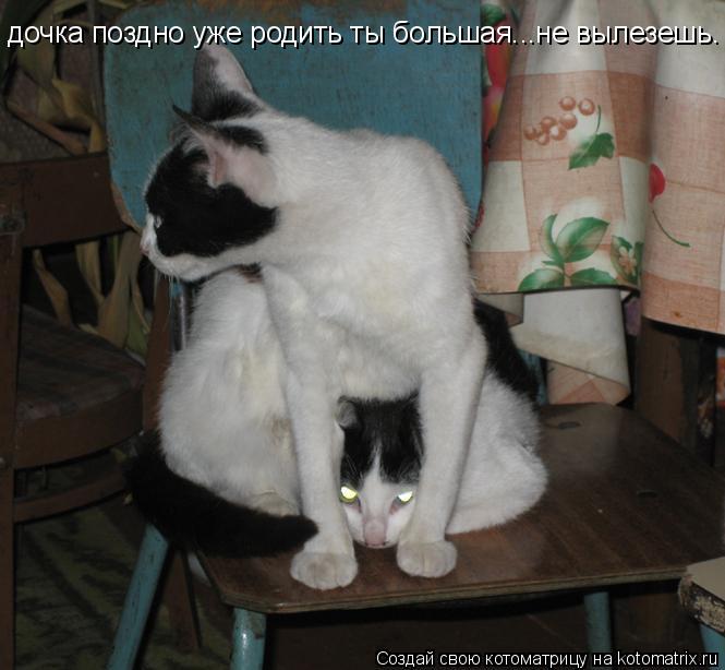Котоматрица: дочка поздно уже родить ты большая...не вылезешь.