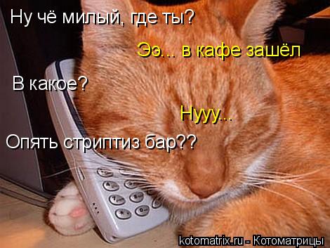 Котоматрица: Ну чё милый, где ты? Ээ... в кафе зашёл В какое? Нууу... Опять стриптиз бар??