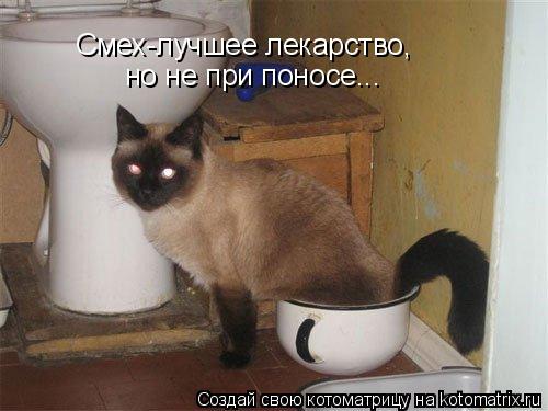Смех-лучшее лекарство, но не при поносе...... Котоматрица: Смех-лучшее лекарство, но не при поносе...