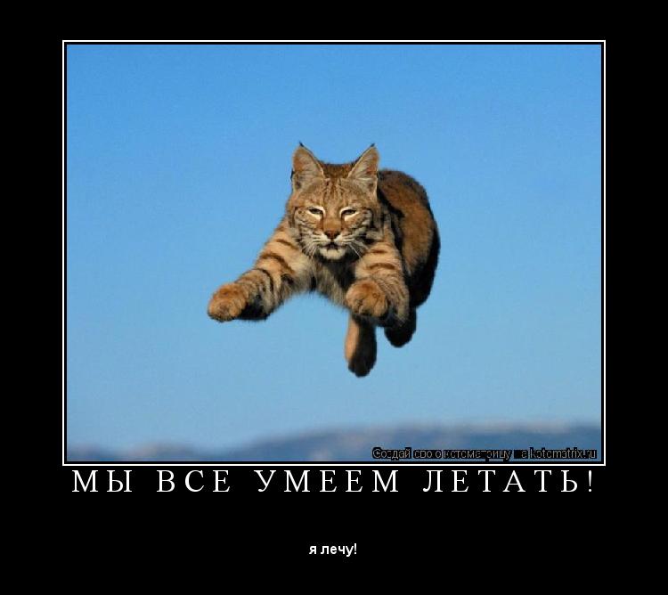 Котоматрица: М Ы   В С Е   У М Е Е М   Л Е Т А Т Ь ! 