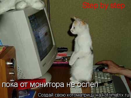 Котоматрица: Step by step пока от монитора не ослеп