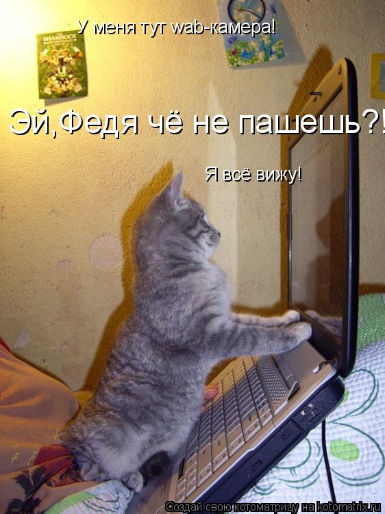 Котоматрица: У меня тут wab-камера! Я всё вижу! Эй,Федя чё не пашешь?!!!!!!!!!! Эй,Федя чё не пашешь?!!!!!!!!!!