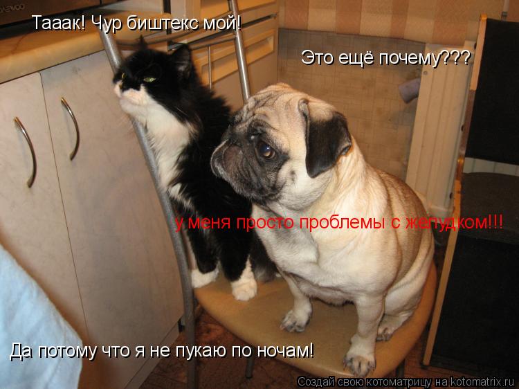 Тааак! Чур биштекс мой! Это ещё почему??? Да потому что я не пукаю по ночам! у меня просто проблемы с... Котоматрица: Тааак! Чур биштекс мой! Это ещё почему??? Да потому что я не пукаю по ночам! у меня просто проблемы с желудком!!!