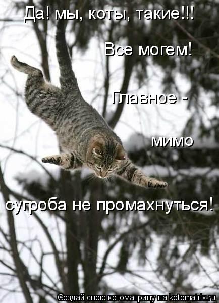 Да! мы, коты, такие!!! Все могем! Главное - мимо сугроба не промахнуться!... Котоматрица: Да! мы, коты, такие!!! Все могем! Главное - мимо сугроба не промахнуться!