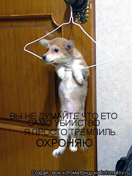 Котоматрица: ВЫ НЕ ДУМАЙТЕ ЧТО ЕТО САМО УБИЙСТВО Я ПРОСТО ТРЕМПИЛЬ  ОХРОНЯЮ