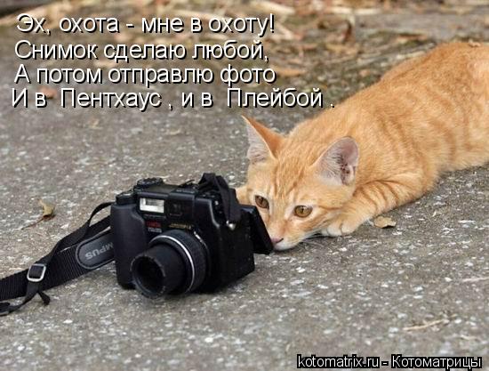 Котоматрица: Эх, охота - мне в охоту! Снимок сделаю любой, А потом отправлю фото И в «Пентхаус», и в «Плейбой».