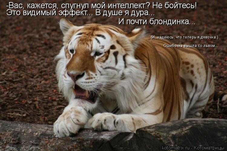 Котоматрица: -Вас, кажется, спугнул мой интеллект? Не бойтесь! Это видимый эффект... В душе я дура... И почти блондинка... (И, надеюсь, что теперь я девочка.) Ош