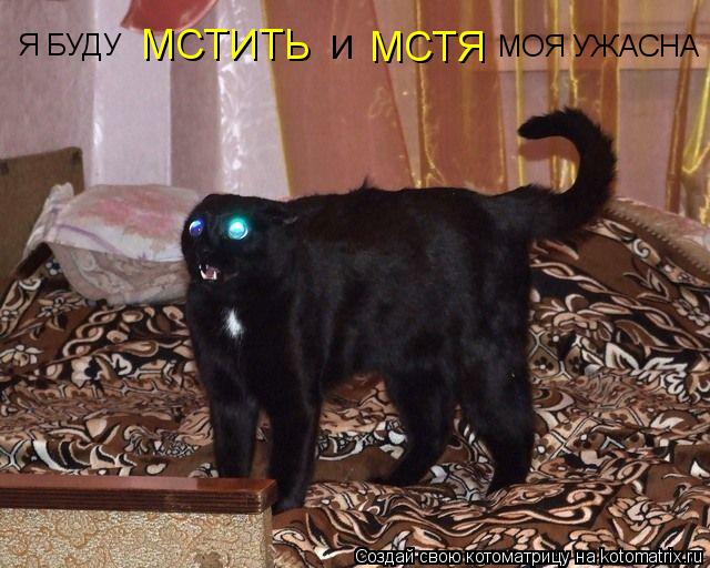 Котоматрица: Я БУДУ МСТИТЬ И МСТЯ МОЯ УЖАСНА