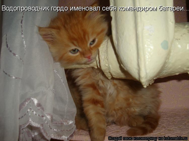 Котоматрица: Водопроводчик гордо именовал себя командиром батареи...