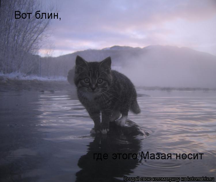 Котоматрица: Вот блин, где этого Мазая носит
