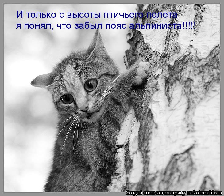 И только с высоты птичьего полета я понял, что забыл пояс альпиниста!!!!!... Котоматрица: И только с высоты птичьего полета я понял, что забыл пояс альпиниста!!!!!