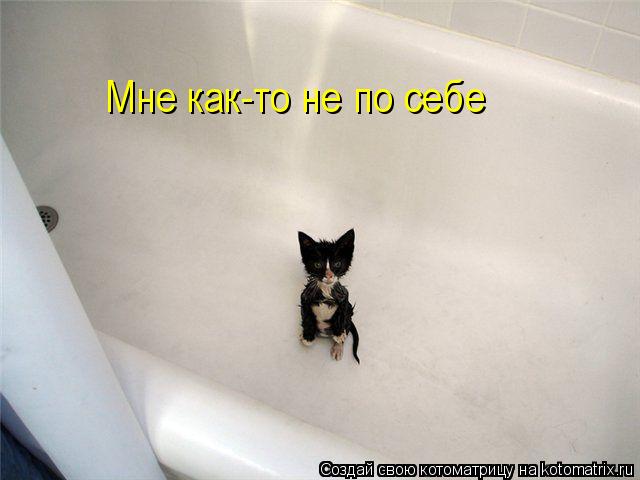 Котоматрица: Мне как-то не по себе