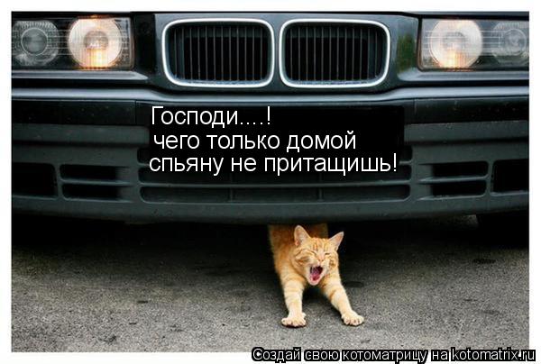 Господи....! чего только домой спьяну не притащишь!... Котоматрица: Господи....! чего только домой спьяну не притащишь!