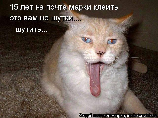 15 лет на почте марки клеить это вам не шутки.... шутить...... Котоматрица: 15 лет на почте марки клеить это вам не шутки.... шутить...