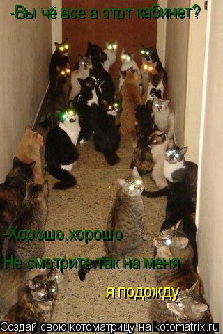 Котоматрица: -Вы чё все в этот  кабинет? -Хорошо,хорошо Не смотрите так на меня я подожду