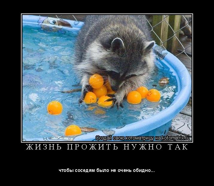 Котоматрица: Ж И З Н Ь   П Р О Ж И Т Ь   Н У Ж Н О   Т А К 