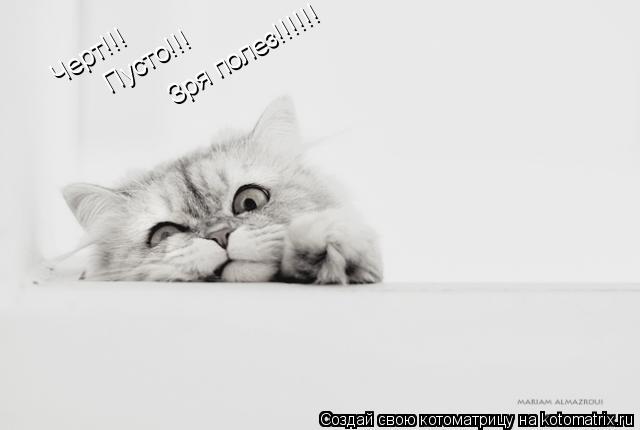 Котоматрица: Черт!!! Пусто!!! Зря полез!!!!!!