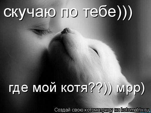 Котоматрица: скучаю по тебе))) где мой котя??)) мрр)