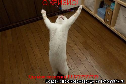 О,КРИЗИС! Где моя сисиська!!!!!!?????????... Котоматрица: О,КРИЗИС! Где моя сисиська!!!!!!?????????