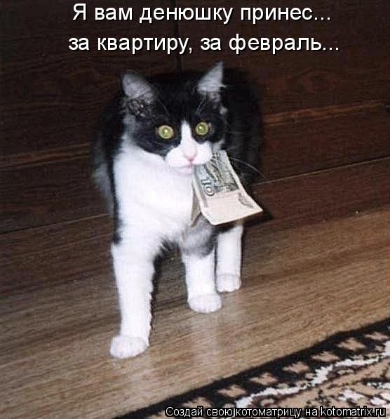 Я вам денюшку принес... за квартиру, за февраль...... Котоматрица: Я вам денюшку принес... за квартиру, за февраль...