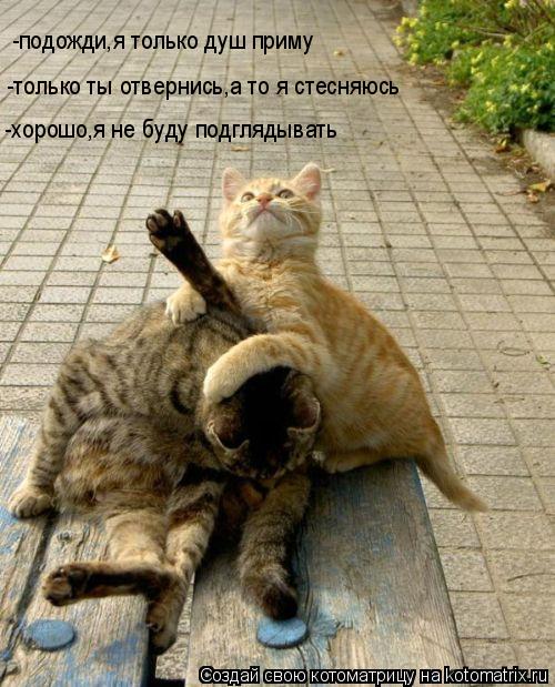 Котоматрица: -подожди,я только душ приму  -только ты отвернись,а то я стесняюсь -хорошо,я не буду подглядывать