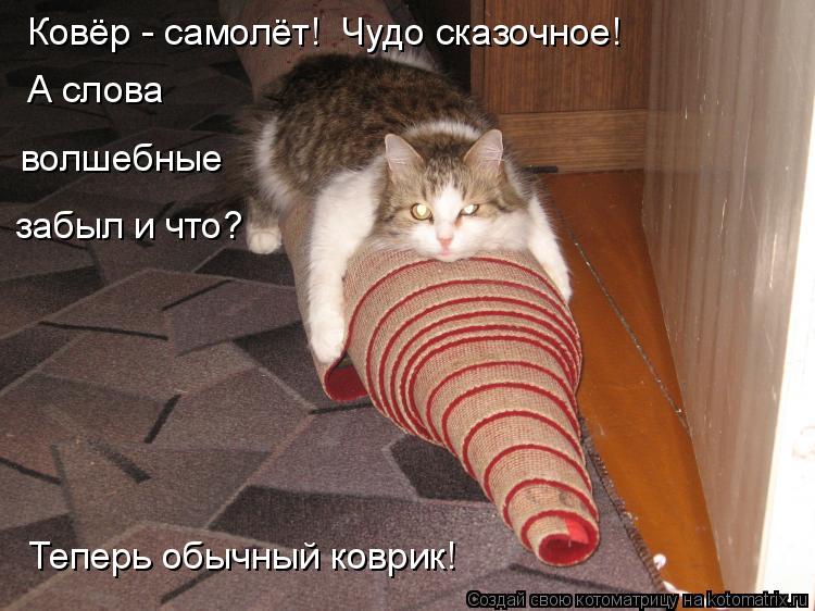 Котоматрица: Ковёр - самолёт!  Чудо сказочное! А слова  волшебные  забыл и что? Теперь обычный коврик!