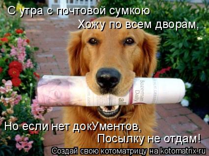 Котоматрица: С утра с почтовой сумкою Хожу по всем дворам, Но если нет докУментов,  Посылку не отдам!