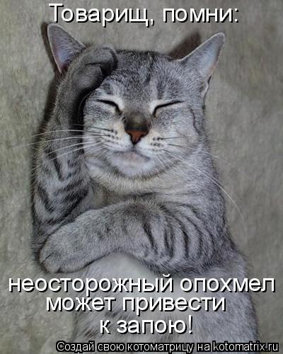 Котоматрица: Товарищ, помни:  неосторожный опохмел  может привести  к запою!