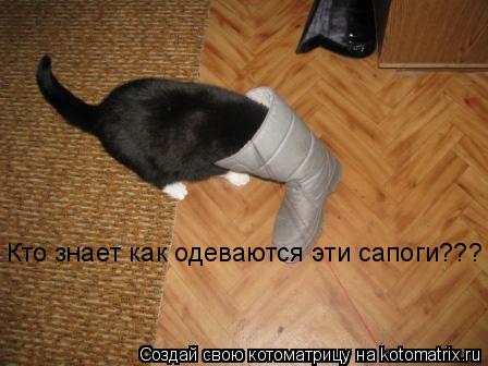 Кто знает как одеваются эти сапоги???... Котоматрица: Кто знает как одеваются эти сапоги???
