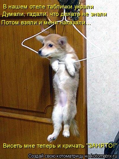В нашем отеле таблички украли Думали, гадали, что делать не знали Висеть мне теперь и кричать "ЗАНЯТО... Котоматрица: В нашем отеле таблички украли Думали, гадали, что делать не знали Висеть мне теперь и кричать "ЗАНЯТО!" Потом взяли и меня наказали...