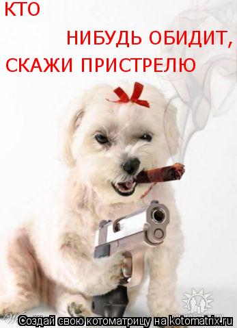 КТО НИБУДЬ ОБИДИТ, СКАЖИ ПРИСТРЕЛЮ... Котоматрица: КТО НИБУДЬ ОБИДИТ, СКАЖИ ПРИСТРЕЛЮ