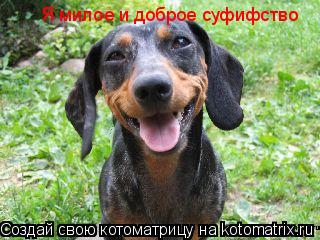 Я милое и доброе суфифство... Котоматрица: Я милое и доброе суфифство