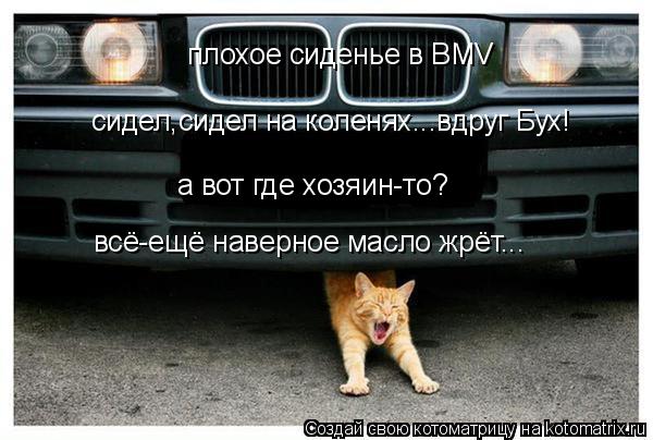 Котоматрица: плохое сиденье в BMV сидел,сидел на коленях...вдруг Бух! а вот где хозяин-то? всё-ещё наверное масло жрёт...