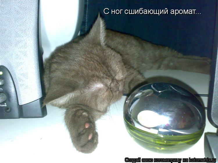 Котоматрица: С ног сшибающий аромат...