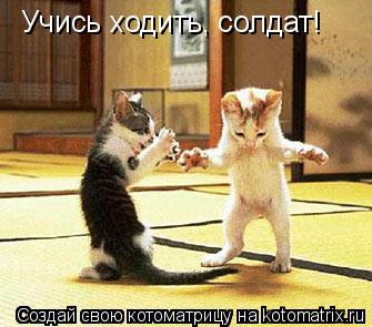 Учись ходить, солдат!... Котоматрица: Учись ходить, солдат!