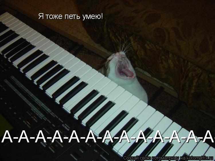 Котоматрица: Я тоже петь умею! А-А-А-А-А-А-А-А-А-А-А-А-А-А-А-А-А-А-А-А