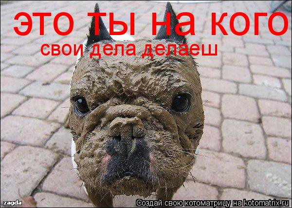 Котоматрица: это ты на кого  свои дела делаеш