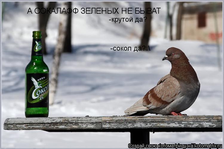 Котоматрица: А СОКАЛАФФ ЗЕЛЕНЫХ НЕ БЫВАТ