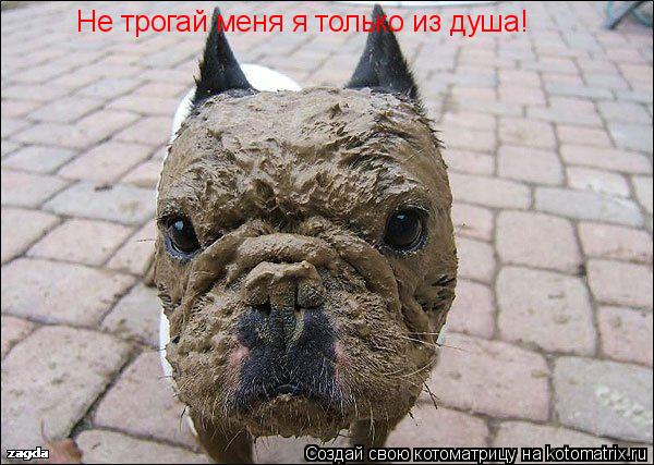 Не трогай меня я только из душа!... Котоматрица: Не трогай меня я только из душа!