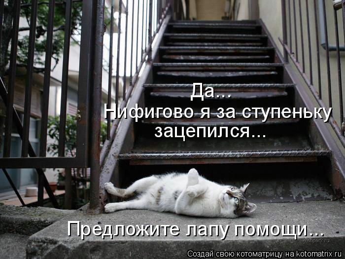 Котоматрица: Да... Нифигово я за ступеньку  зацепился... Предложите лапу помощи...