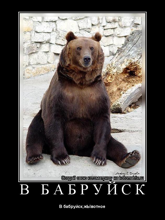 Котоматрица: В   Б А Б Р У Й С К 