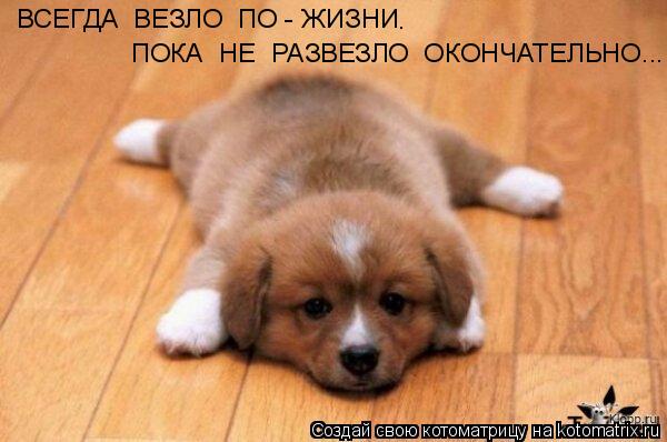 ВСЕГДА ВЕЗЛО ПО - ЖИЗНИ ПОКА НЕ РАЗВЕЗЛО ОКОНЧАТЕЛЬНО... .... Котоматрица: ВСЕГДА ВЕЗЛО ПО - ЖИЗНИ ПОКА НЕ РАЗВЕЗЛО ОКОНЧАТЕЛЬНО... .