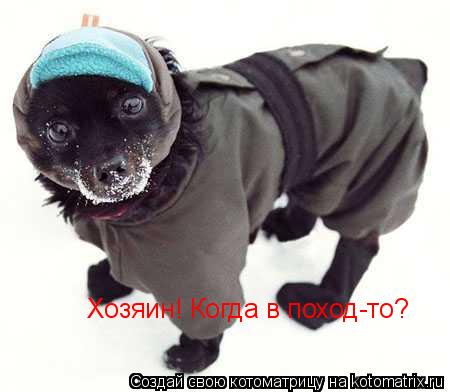 Котоматрица: Хозяин! Когда в поход-то?