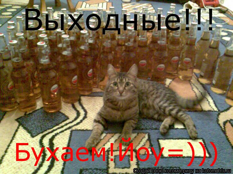 Выходные!!! Бухаем!Йоу=)))... Котоматрица: Выходные!!! Бухаем!Йоу=)))