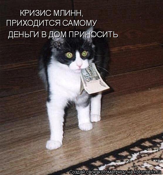 Котоматрица: КРИЗИС МЛИНН, ПРИХОДИТСЯ САМОМУ   ДЕНЬГИ В ДОМ ПРИНОСИТЬ